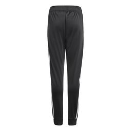 Pantalón adidas Originals Adicolor Gn8453